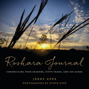 Book cover of Roshara Journal