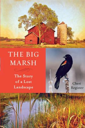 Cover of the book The Big Marsh by Cathy de Moll