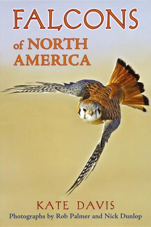 Book cover of Falcons of North America