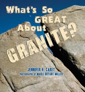 Cover of the book What's So Great About Granite? by Felicie Williams, Lucy Chronic, Halka Chronic