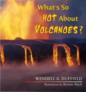 Cover of the book What's So Hot About Volcanoes? by Felicie Williams, Lucy Chronic, Halka Chronic