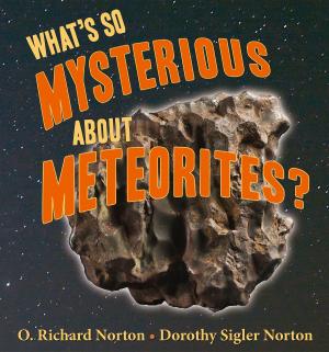 Cover of the book What's So Mysterious About Meteorites by Guy H. Means, Jonathan R. Ryan, Thomas M. Scott