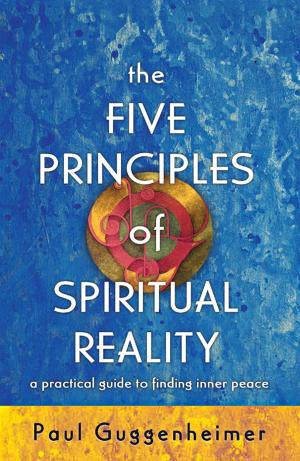 Cover of the book The Five Principles of Spiritual Reality by Steve Reilly