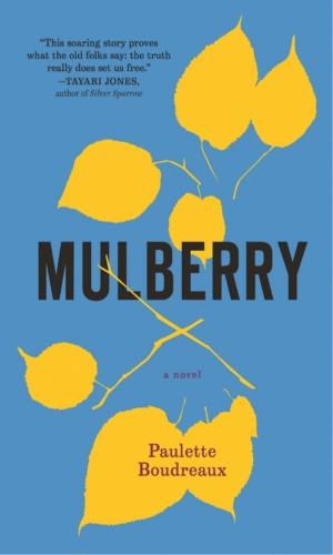Cover of the book Mulberry by Joseph Mills, Danielle Tarmey