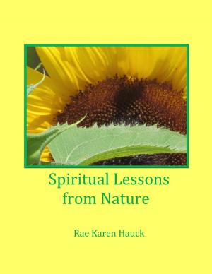 Cover of the book Spiritual Lessons from Nature by 亞當．弗萊徹(Adam Fletcher)、盧卡斯．NP．艾格(Lukas N.P. Egger)、康拉德．柯列弗(Konrad Clever)