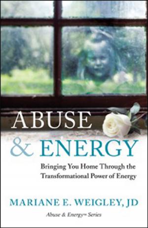 Book cover of Abuse & Energy