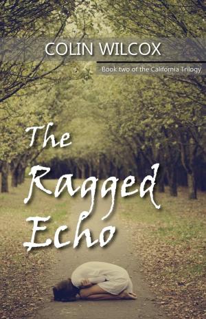Book cover of The Ragged Echo