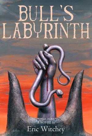 Book cover of Bull's Labyrinth