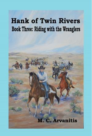 Cover of the book Hank of Twin Rivers, Book Three: Riding with the Wranglers by Waheed Rabbani