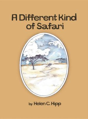 Cover of the book A Different Kind of Safari eBook by S. K. Ali