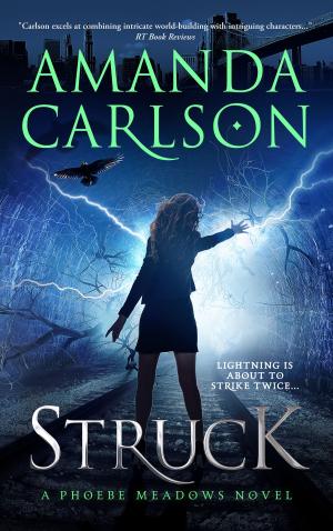 Cover of the book Struck by Evelyn Lyes