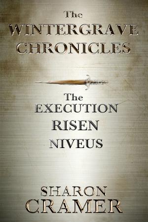 Book cover of The Wintergrave Chronicles