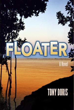 Cover of the book Floater by Janet McLaughlin
