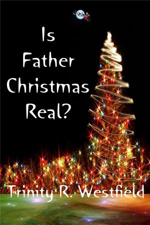 Book cover of Is Father Christmas Real?