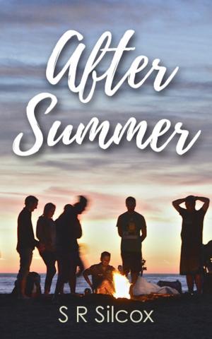 Book cover of After Summer
