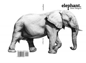 Cover of the book Elephant. by Anna Rose
