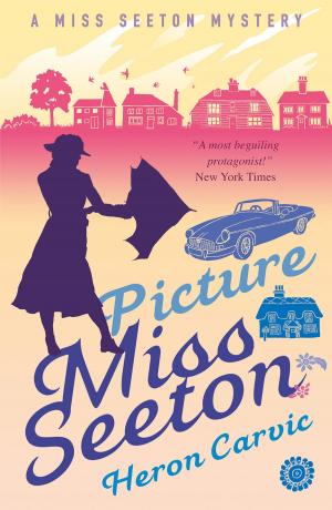 Book cover of Picture Miss Seeton