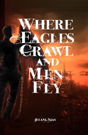 Cover of the book Where Eagles Crawl and Men Fly by Janet Nissenson