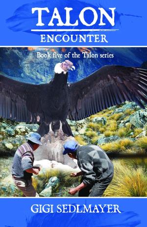 Cover of the book Talon, Encounter by Anthony O'Brian