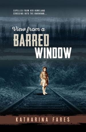 Cover of the book View from a Barred Window by Lea Bronsen