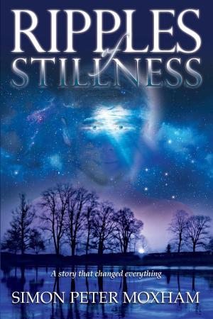 Cover of Ripples of Stillness
