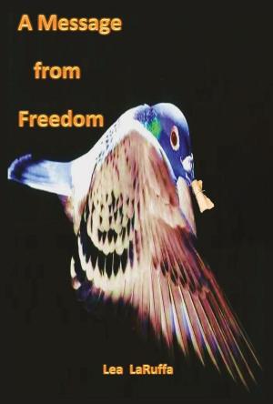 Cover of the book A Message from Freedom by Liz Milliron