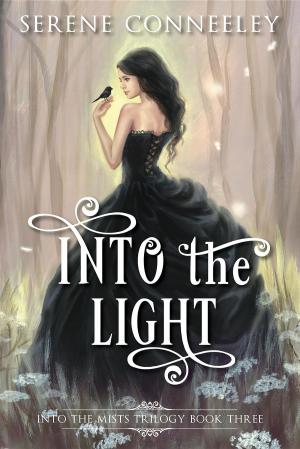Cover of the book Into the Light by Nimai Agarwal