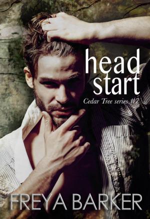 Cover of the book Head Start by Siegrid Hirsch, Wolf Ruzicka