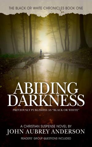 Cover of the book ABIDING DARKNESS by Aidee Ladnier, Debussy Ladnier