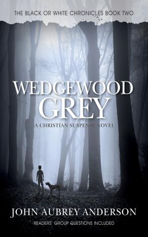 Cover of the book WEDGEWOOD GREY by Stephen Randorf