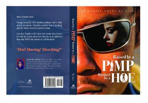 Cover of the book Raised by a Pimp, Birthed by a Hoe by Divine G