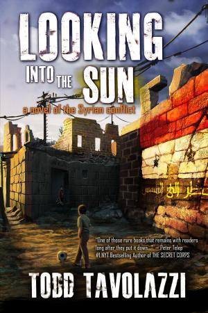 Cover of the book Looking into the Sun by Elgon Williams