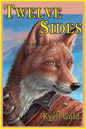 Cover of the book Twelve Sides by C. Borden