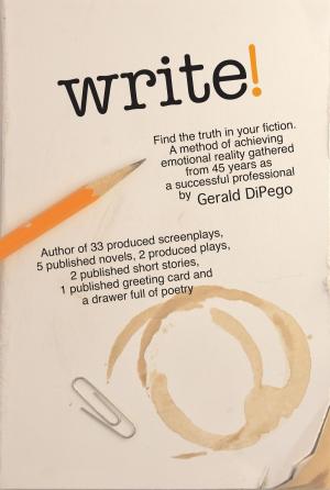 Cover of the book Write! by Count Corhan