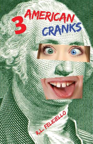 Cover of the book 3 American Cranks by Bill Schmalfeldt