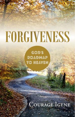 Cover of the book Forgiveness by J.E Sturdivant