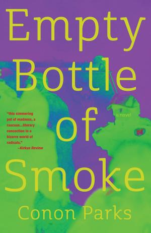 Cover of the book Empty Bottle of Smoke by David Brandt