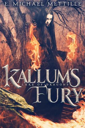 bigCover of the book Kallum's Fury by 
