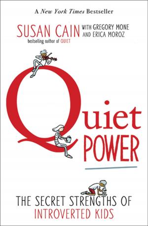 Book cover of Quiet Power