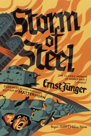 bigCover of the book Storm of Steel by 