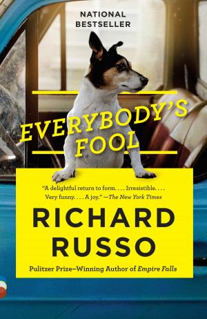 Cover of the book Everybody's Fool by Lawrence Wright