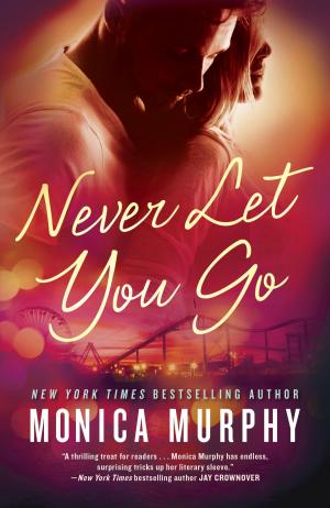 Cover of the book Never Let You Go by James Robert Milam, Katherine Ketcham