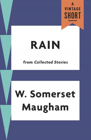 Cover of the book Rain by Simone De Beauvoir