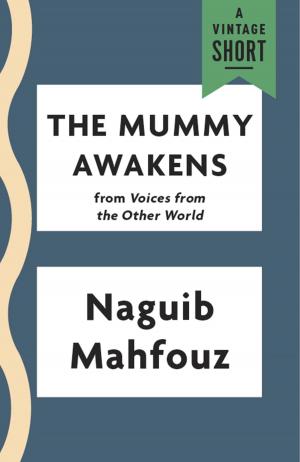 Book cover of The Mummy Awakens