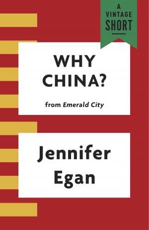 bigCover of the book Why China? by 