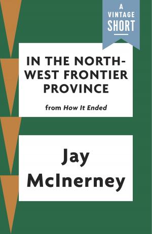 Cover of the book In the North-West Frontier Province by Toni Morrison