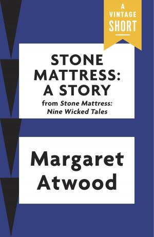 Book cover of Stone Mattress