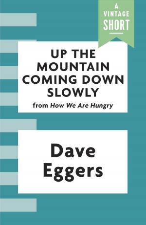 bigCover of the book Up the Mountain Coming Down Slowly by 