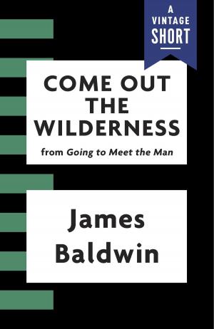 Book cover of Come Out the Wilderness