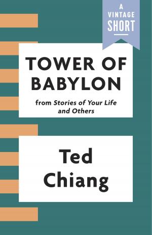 Book cover of Tower of Babylon